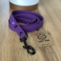 IMG_7072.jpeg