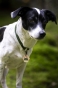 _DSC1659.jpeg