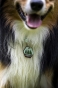 _DSC1654.jpeg
