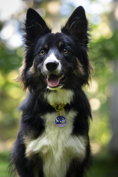 _DSC1646.jpeg