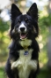 _DSC1646.jpeg