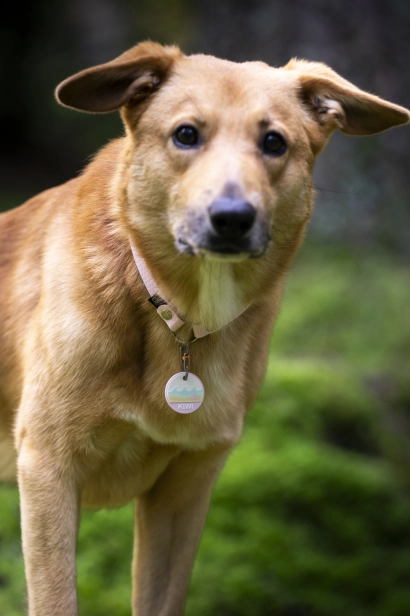 _DSC1674.jpeg