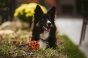 IMG_0205.jpeg