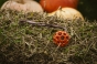 IMG_0190.jpeg