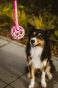 IMG_0197.jpeg