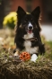 IMG_0187.jpeg