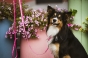 IMG_0215.jpeg