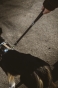 _DSC2147.jpeg