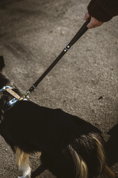 _DSC2147.jpeg
